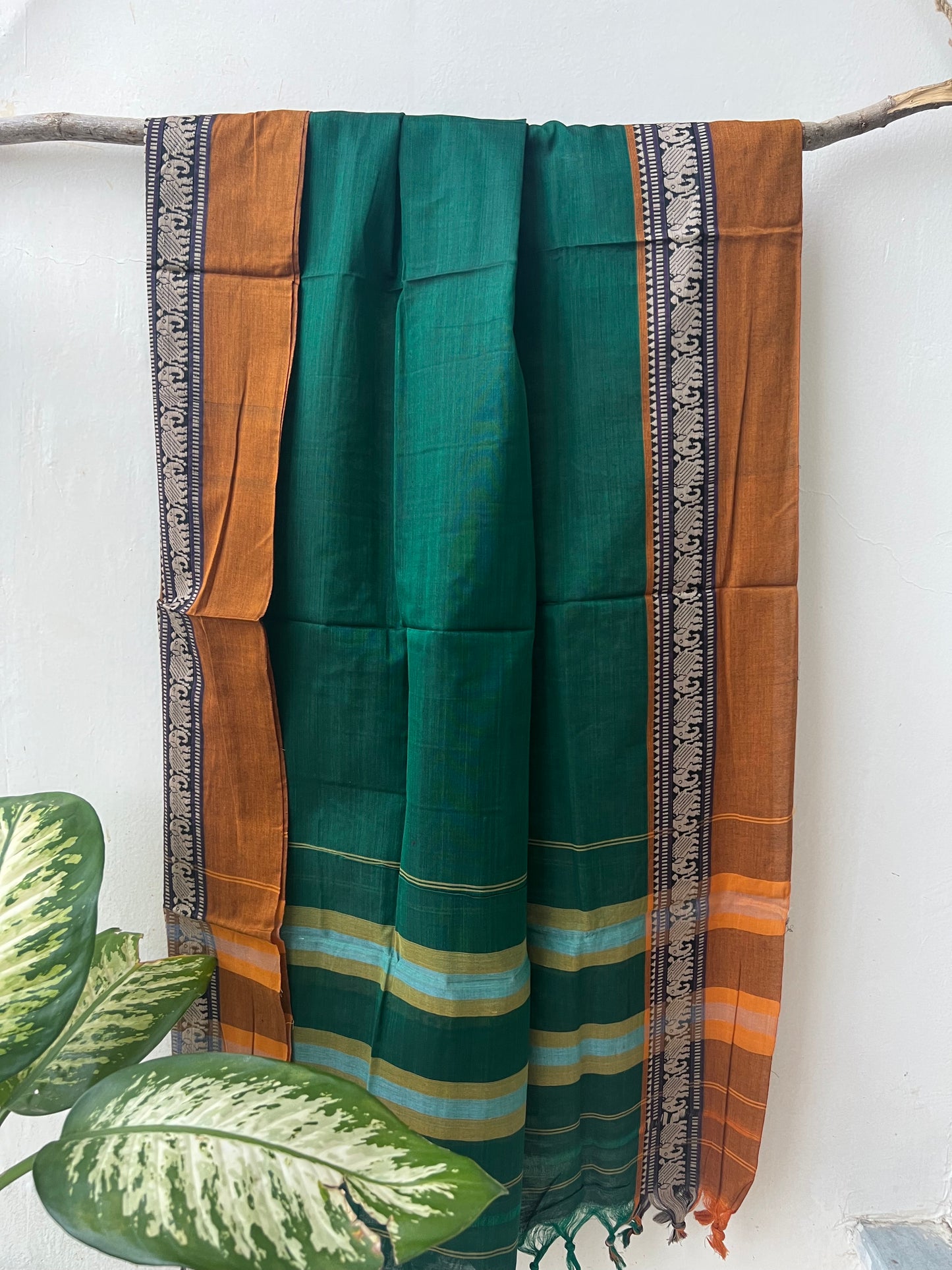 Chettinad Cotton Suit Set - Expectations
