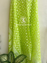 Jamdani Cotton Suit Set - Rainforest Green