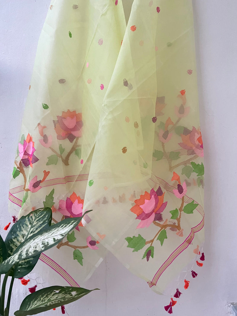 Muslin Jamdani Dupatta 12